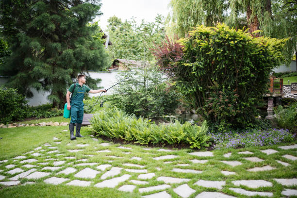 Pest Prevention Services in River Heights, UT