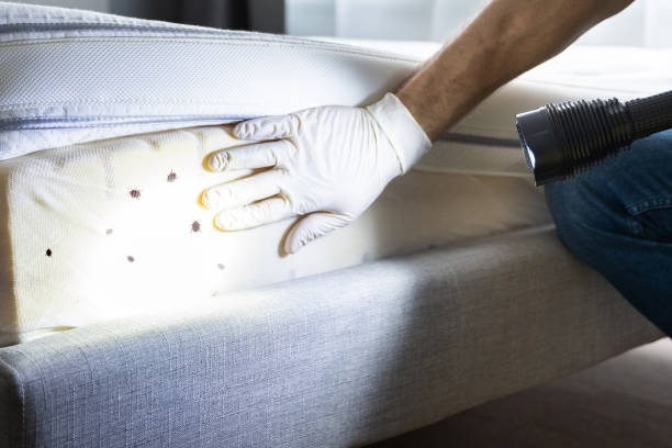Best Exterminator Services  in River Heights, UT