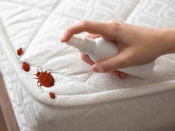 Best Best Pest Control Companies  in River Heights, UT