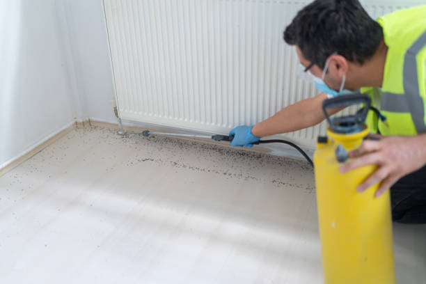 Best Pest Control Near Me  in River Heights, UT