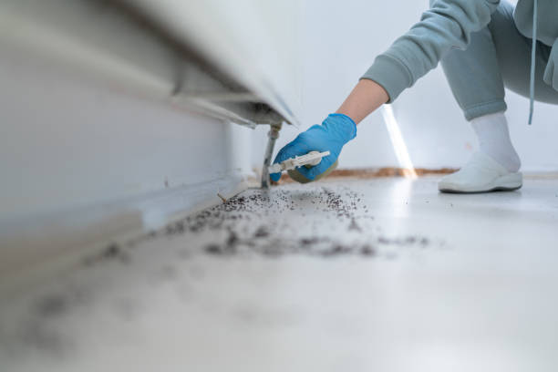 River Heights, UT Pest Control Company